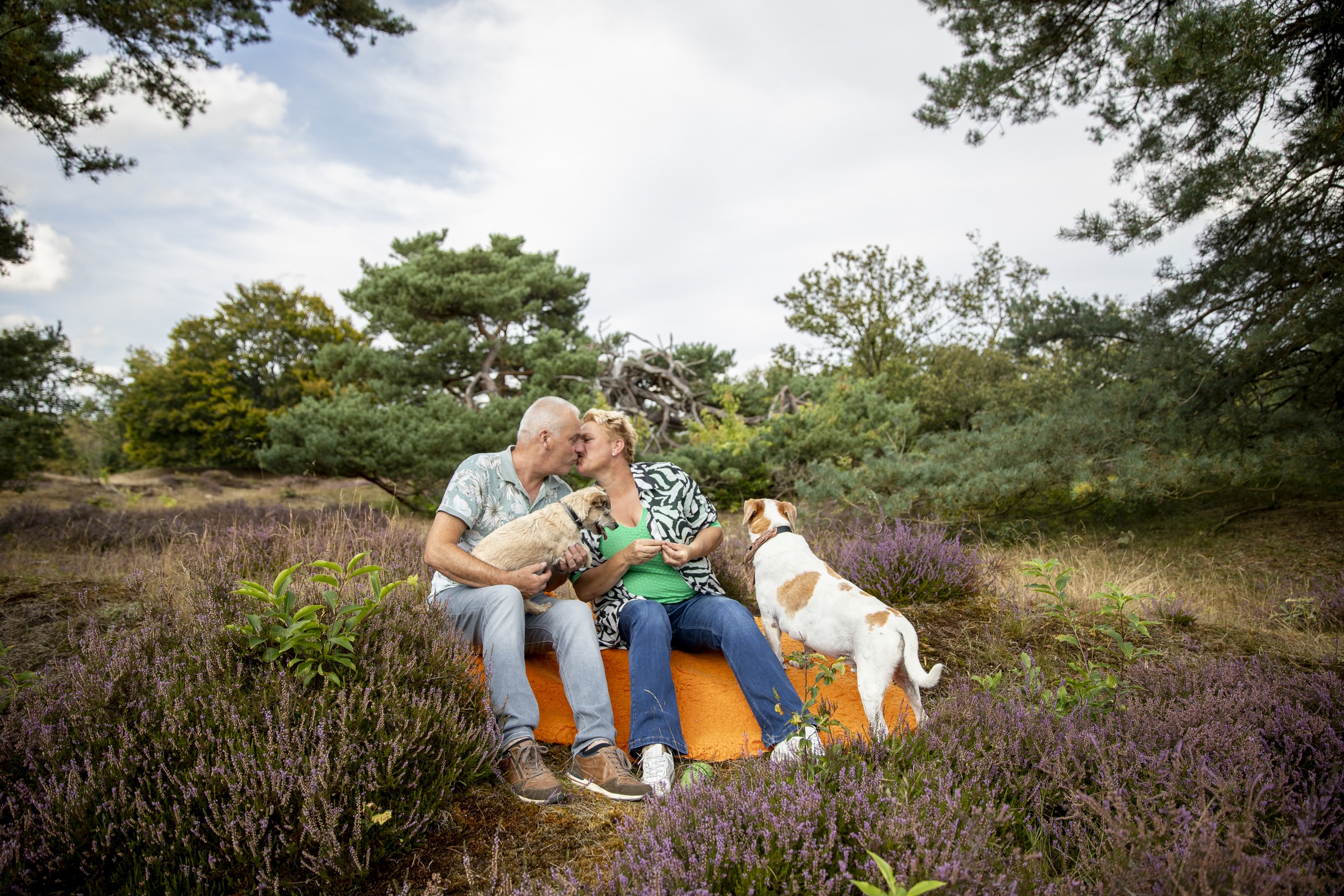 Stel met 2 honden in de heide op de foto