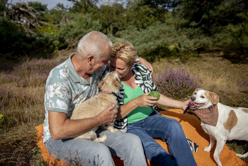 Stel met hun hondjes op de heide op een oranje kleed