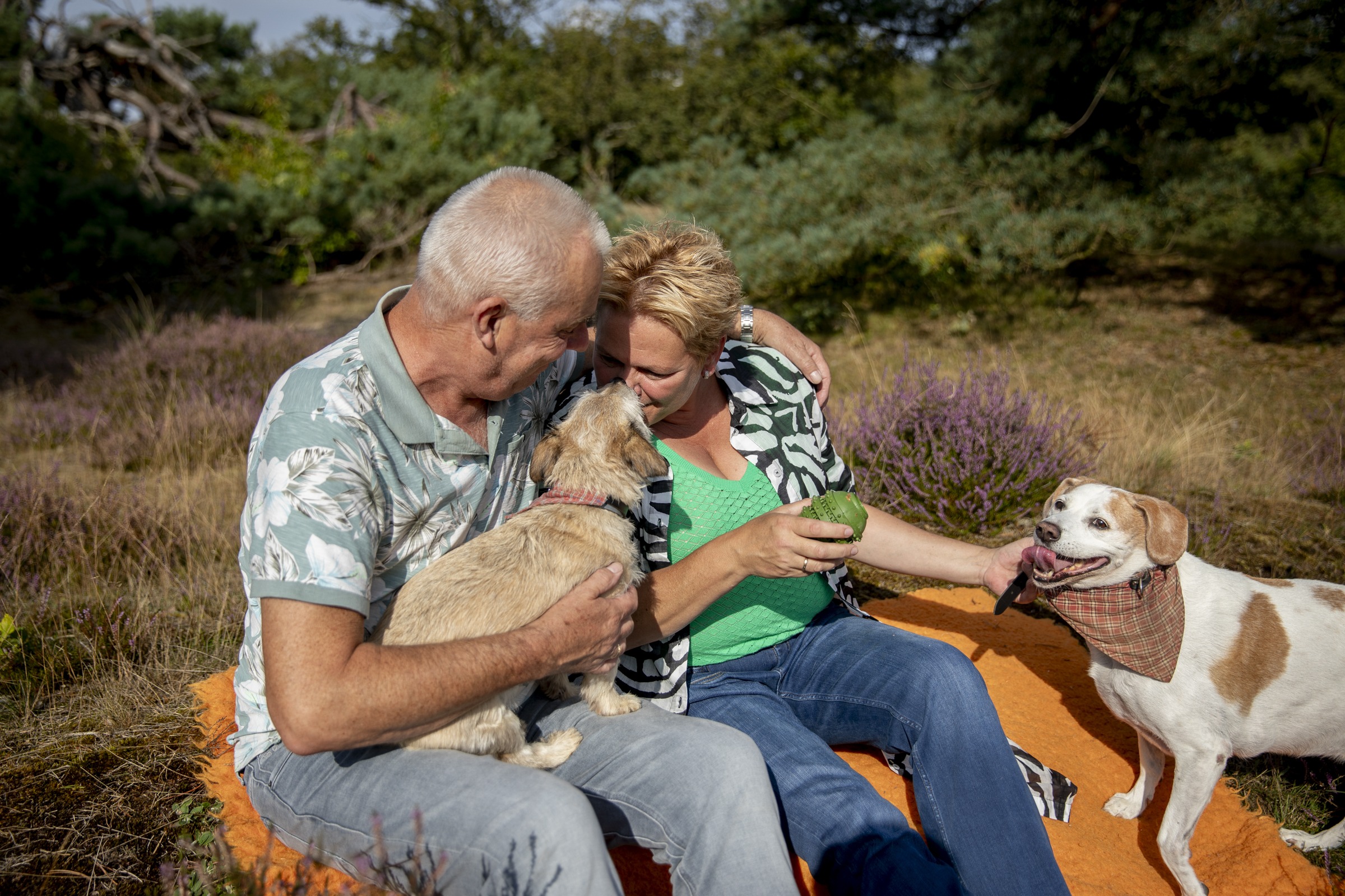 Stel met hun hondjes op de heide op een oranje kleed