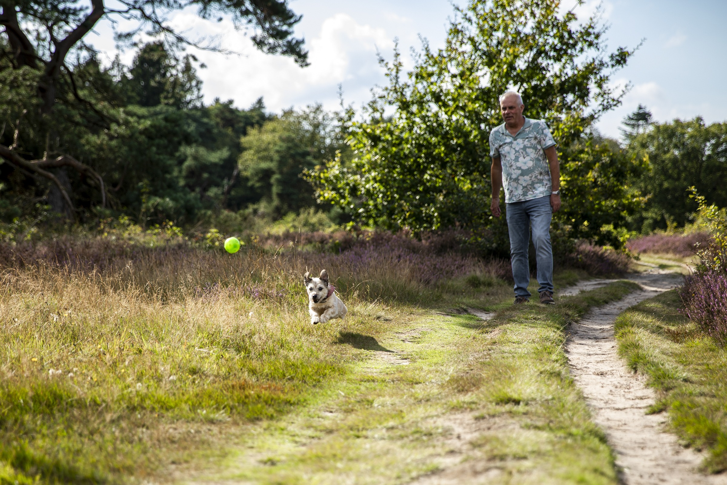 Hondje rent achter de bal aan die zijn baasje gooit